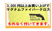 �ޥ��ʥ�ե����С�������